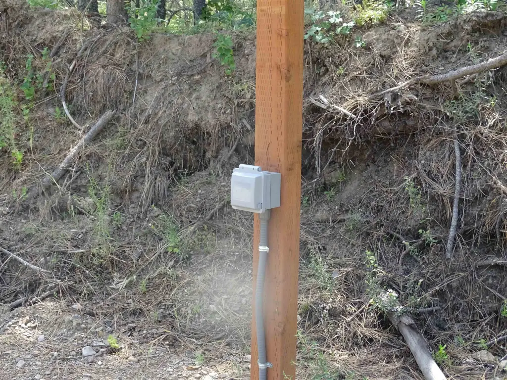 Picture 9