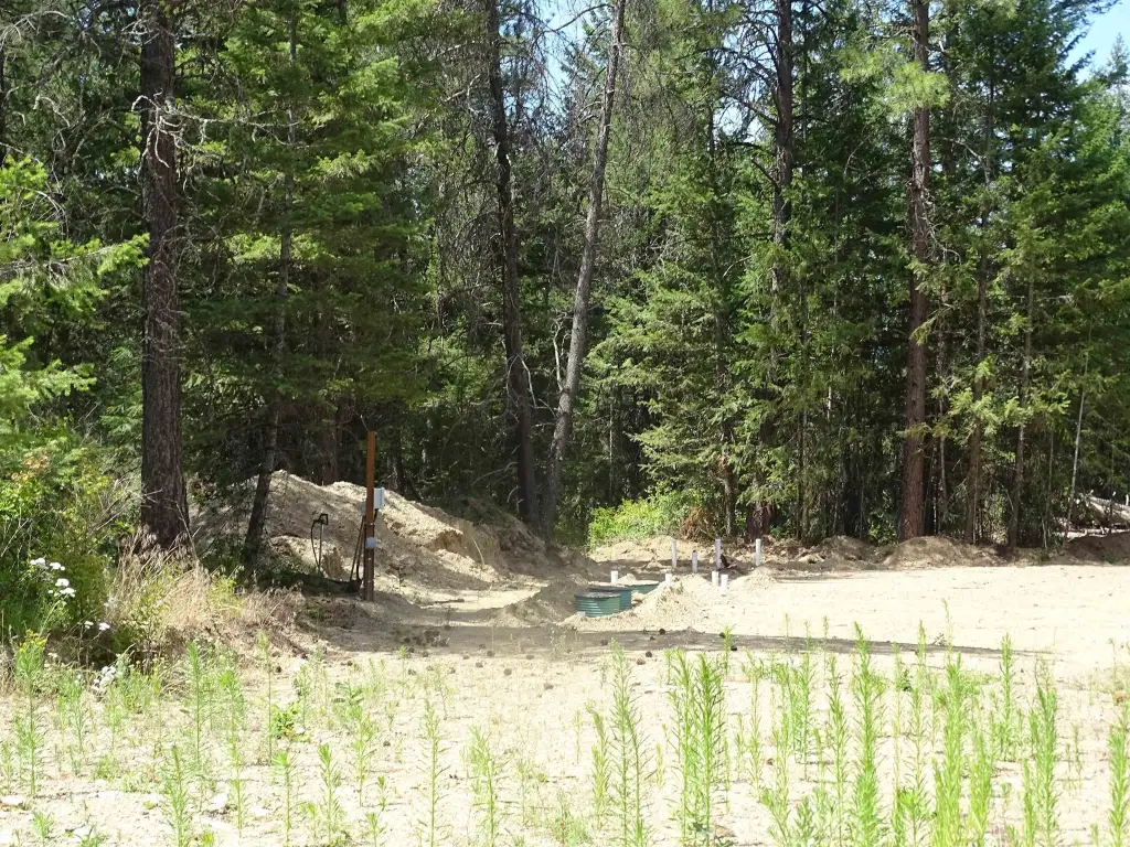 Picture 12
