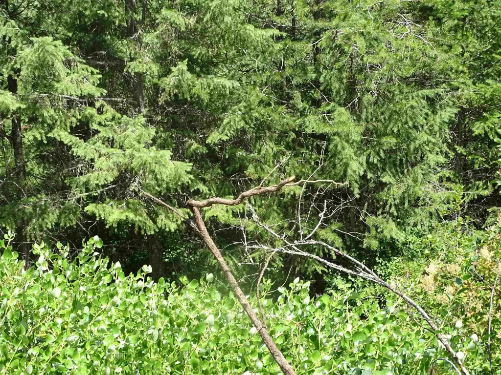 Picture 14