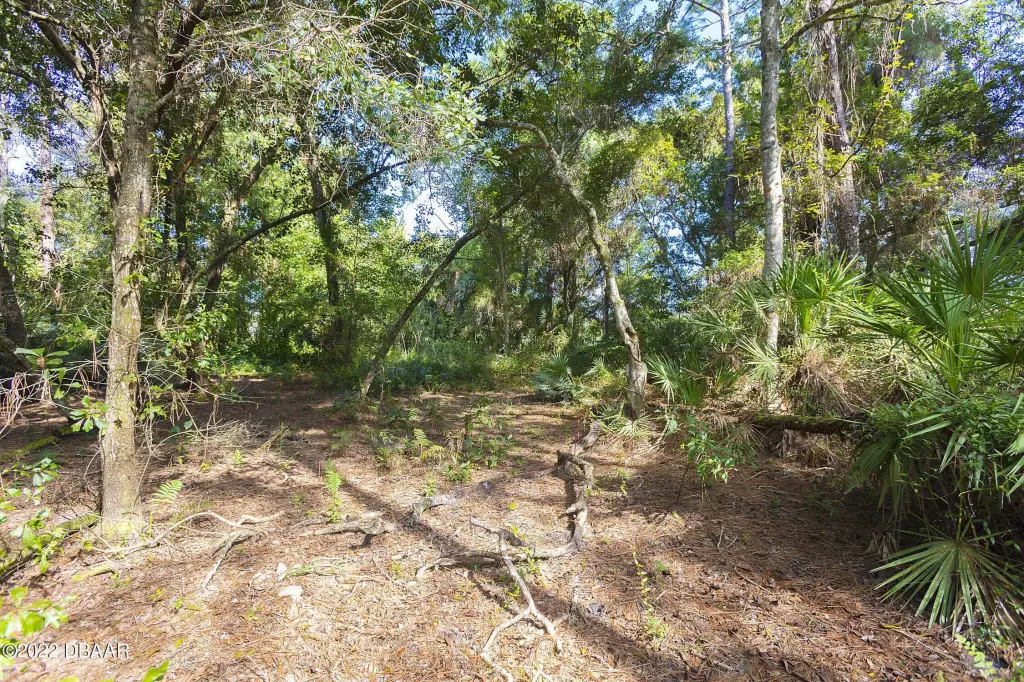 Picture 15