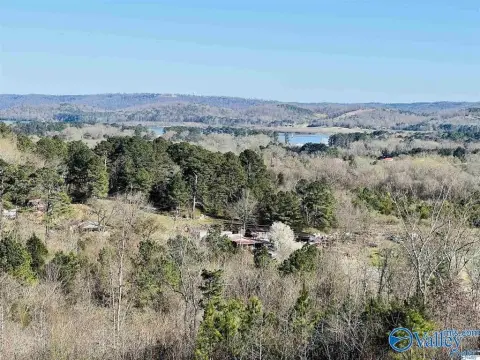 Guntersville Acreage with Lake Views