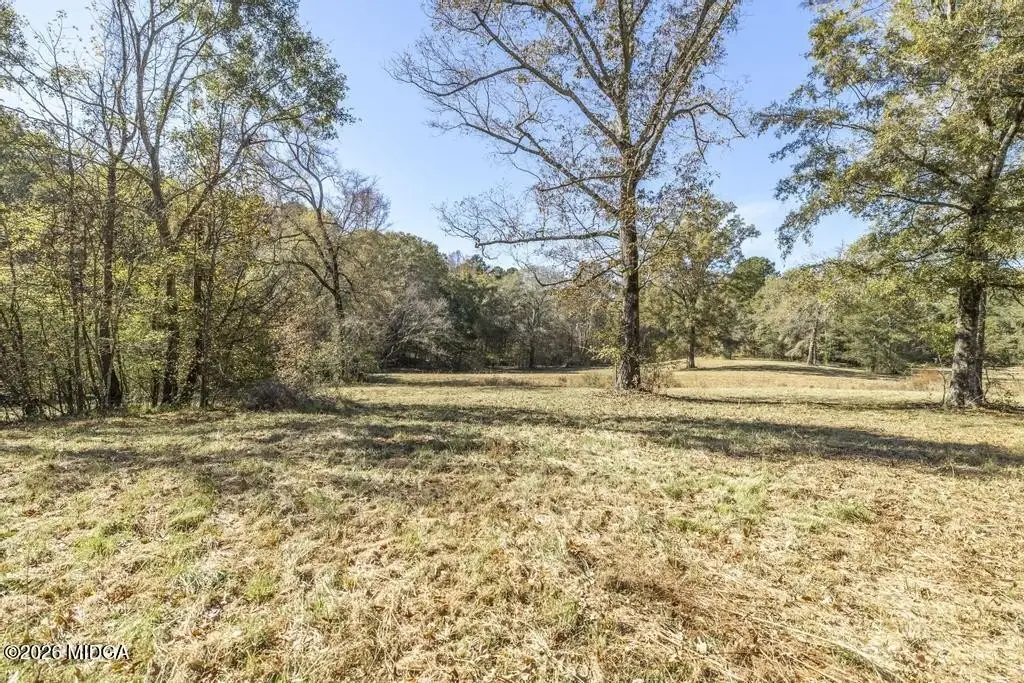Picture 13