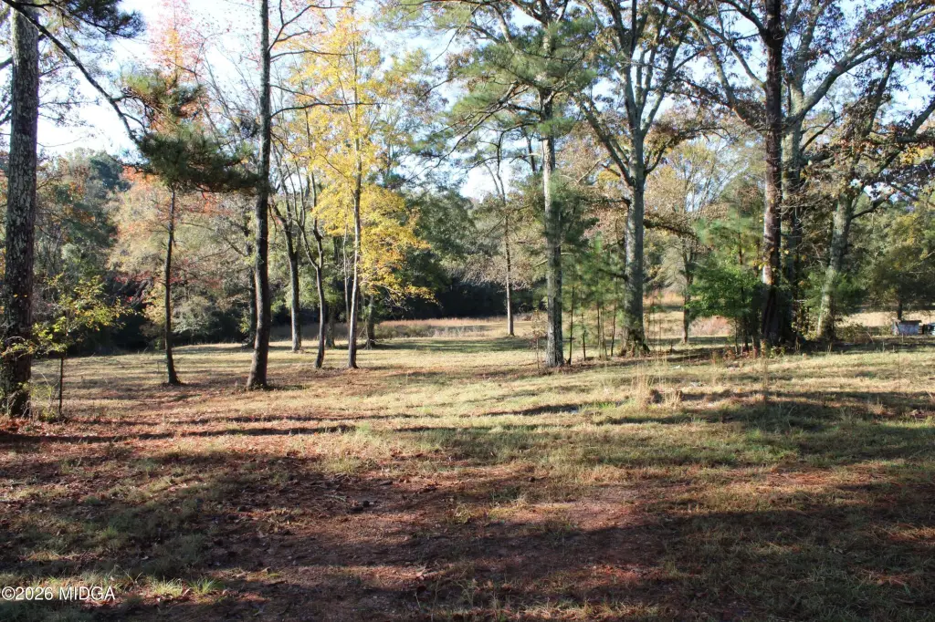Picture 17