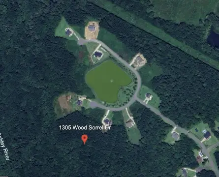 Wassamassaw Plantation Wooded Lot