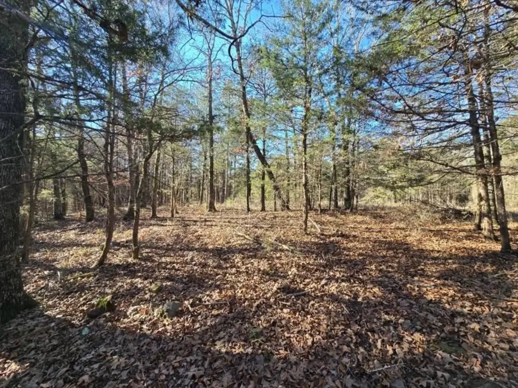 Picture 15