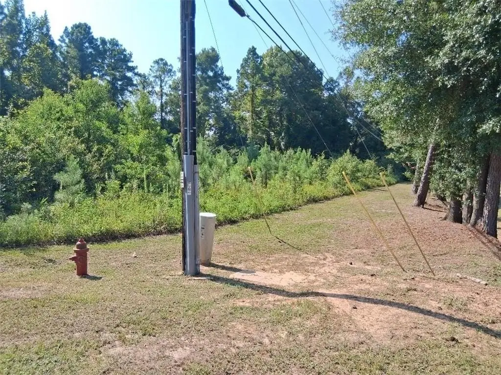 Picture 5