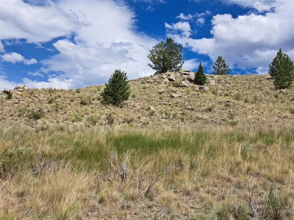 Picture 25