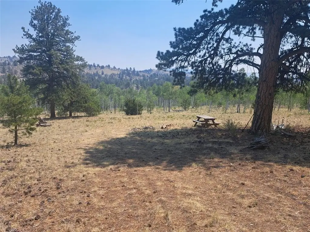 Picture 28