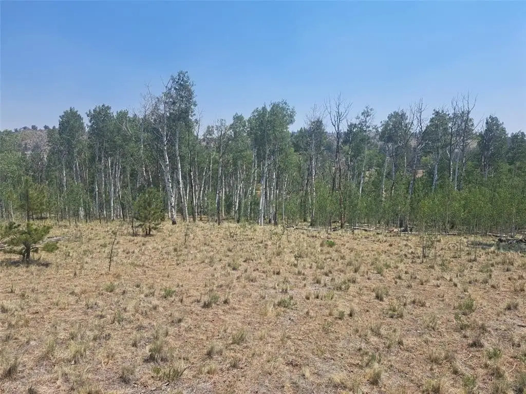 Picture 30