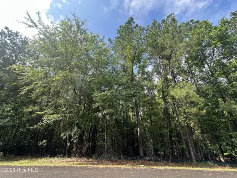 Residential Homesite in Lake Community