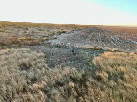 80 Acres Hunting Land, CRP Income