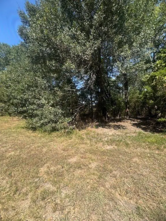 Picture 12
