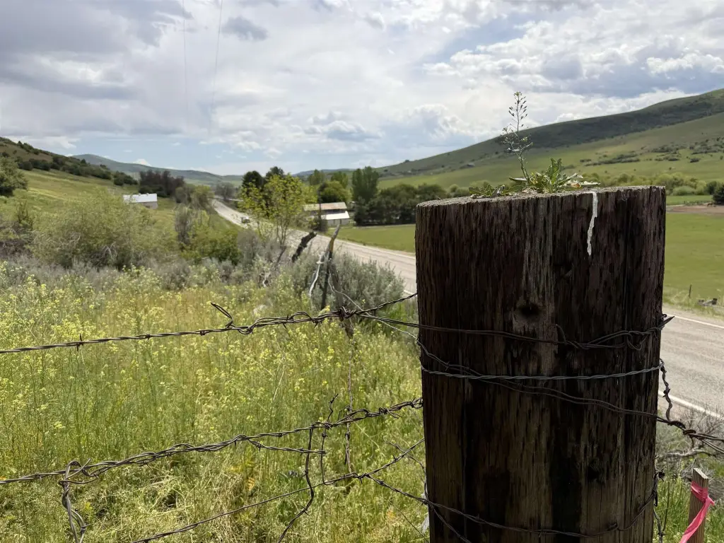 Picture 5