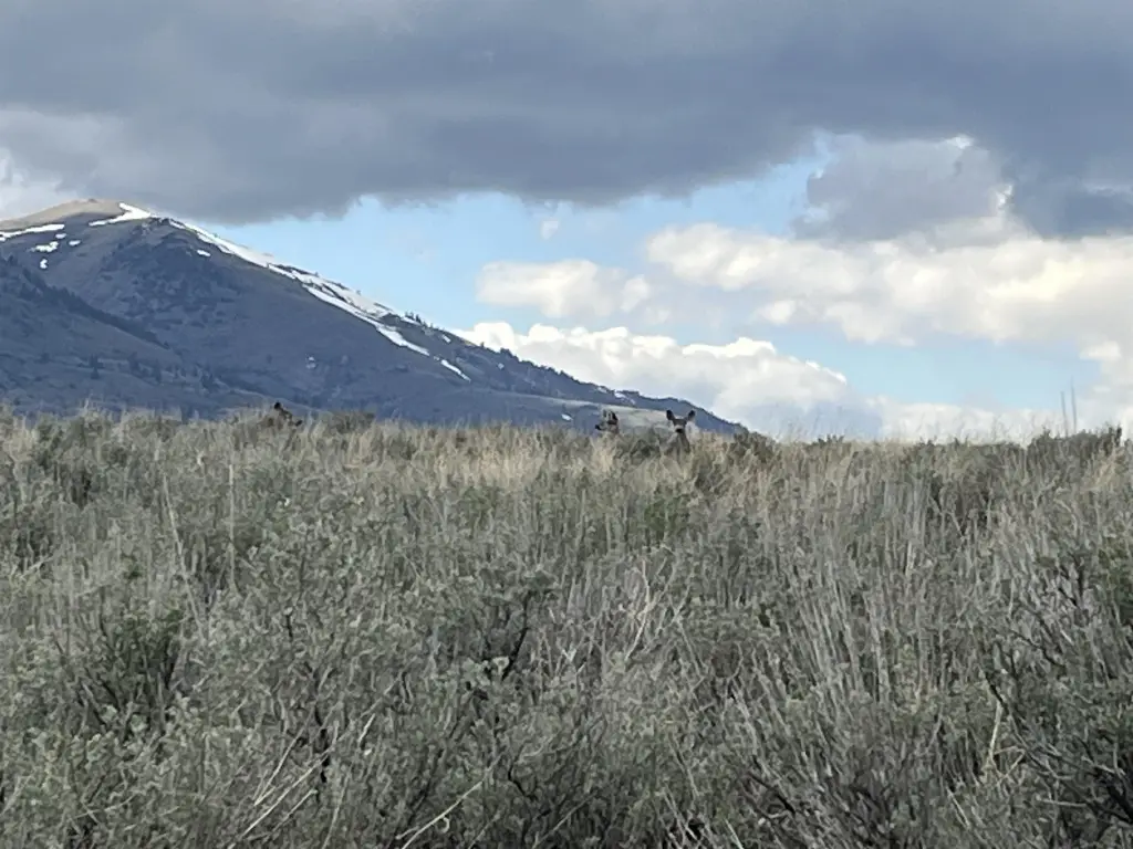Picture 17