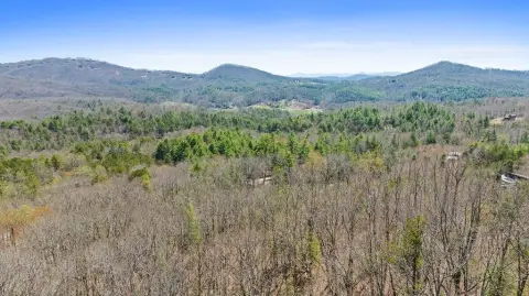 Mineral Bluff Vacant Lot