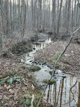 Ellijay Land with Creek Frontage