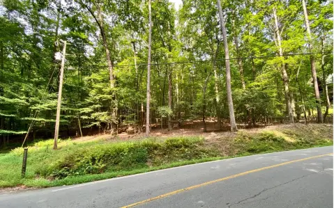 Spacious Wooded Lot in Ellijay