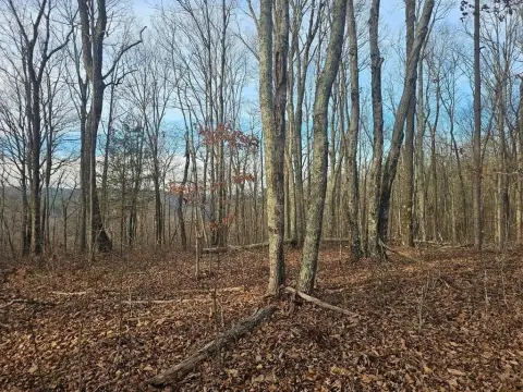 265 Acres Wooded Land