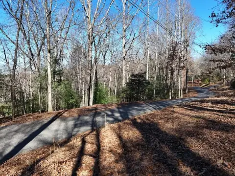 Wooded Lot in Blairsville, GA