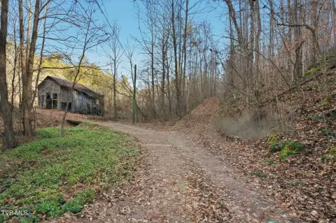 Secluded Wooded Acreage Near Gate City