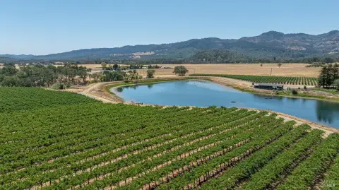 Vineyard Land