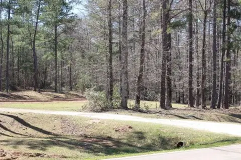 Vacant Land in Opelika, AL