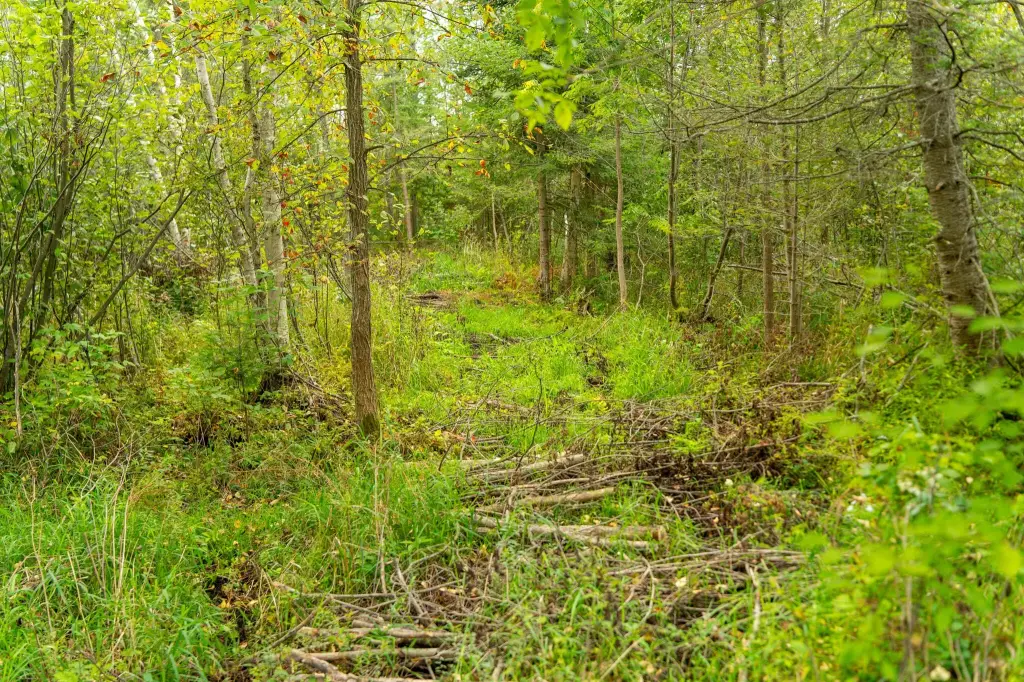 Picture 31