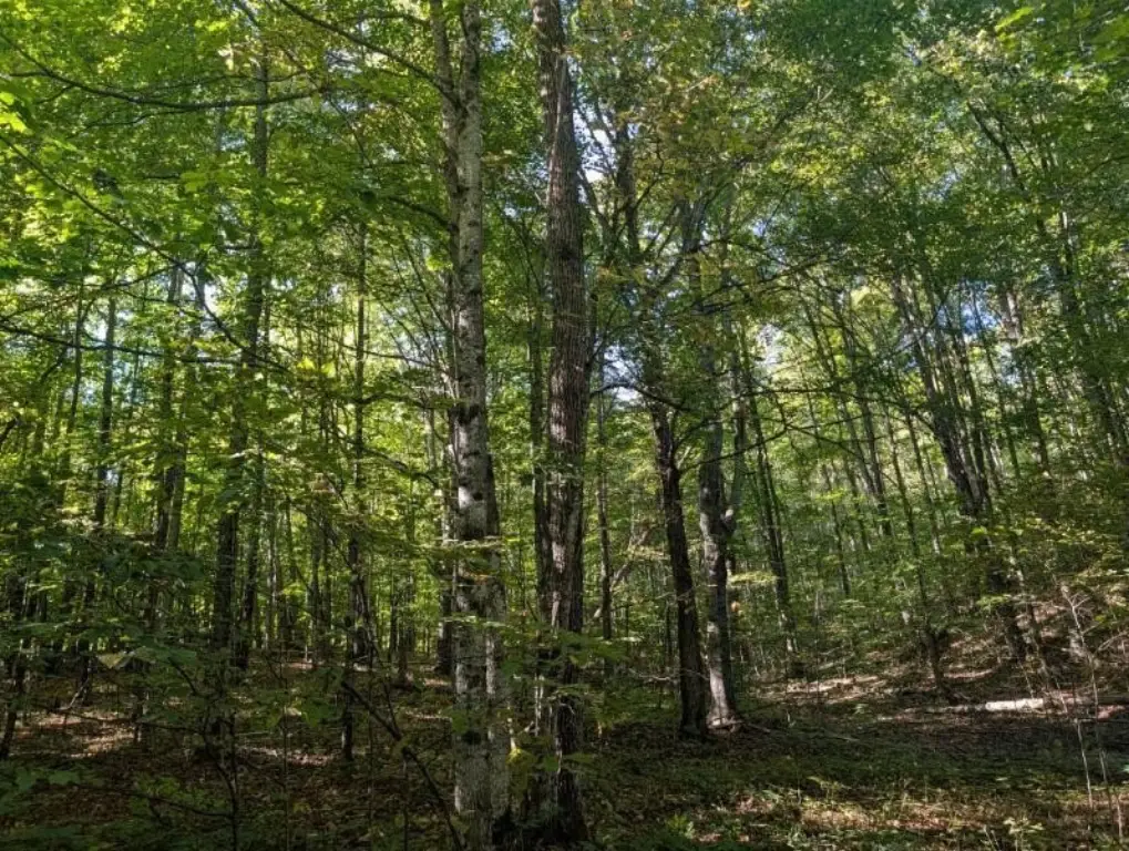 Picture 9