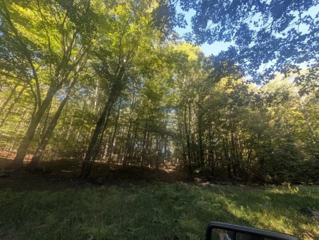 Picture 21