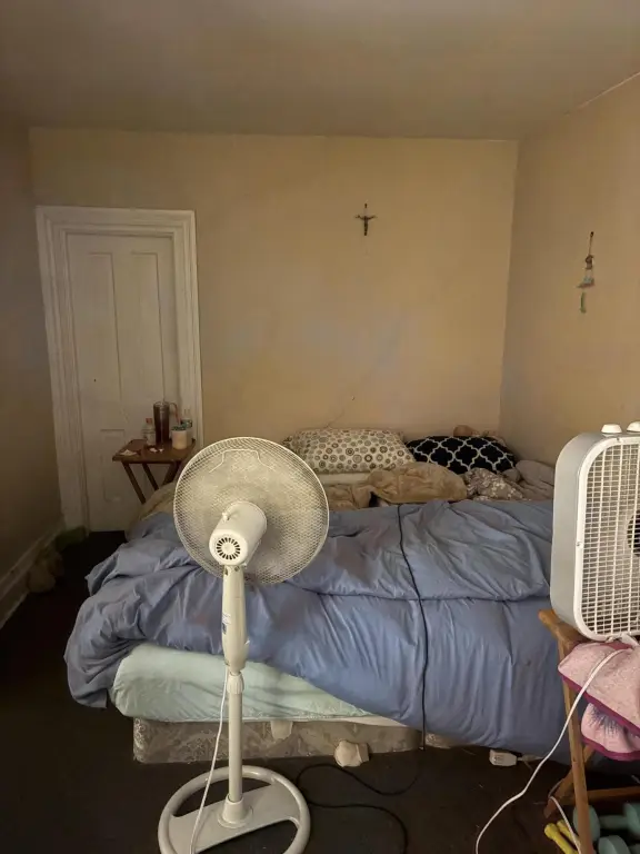 Picture 11