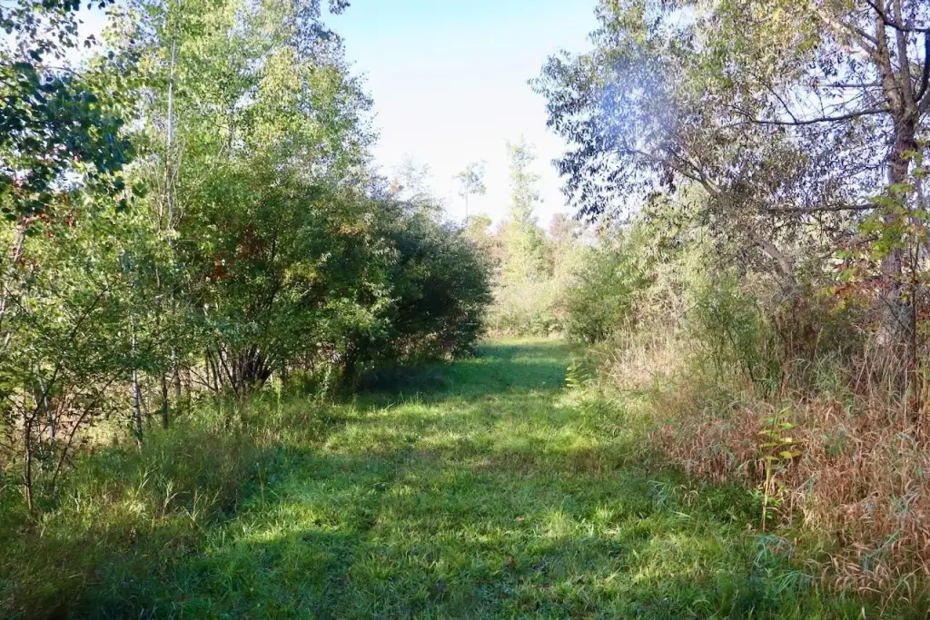 Picture 40