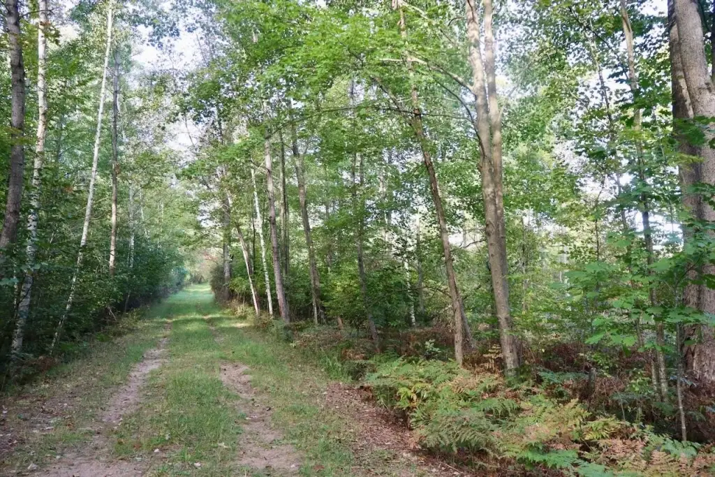 Picture 15