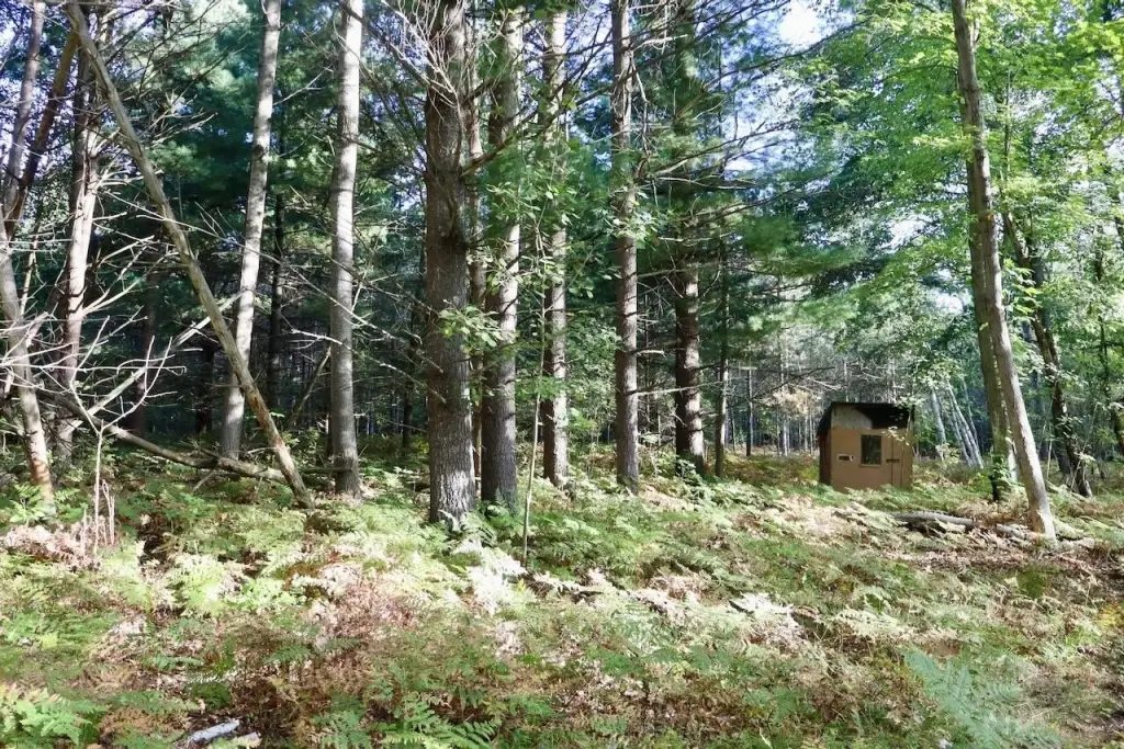 Picture 4