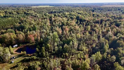 Hunting Land with Pond