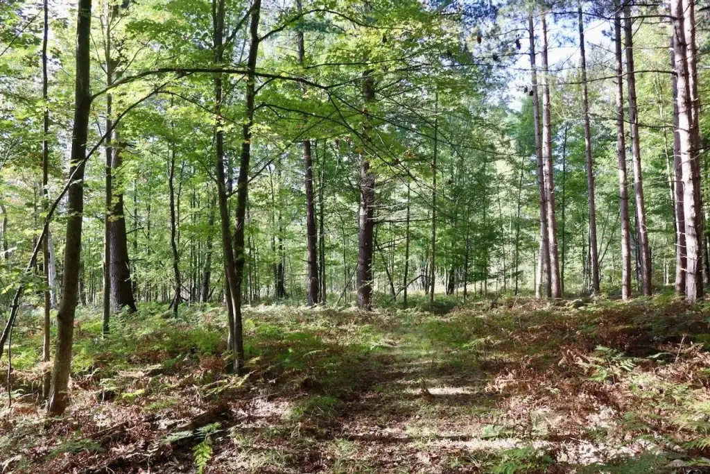 Picture 6