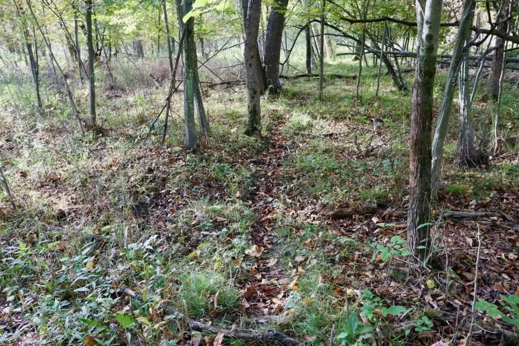Picture 10