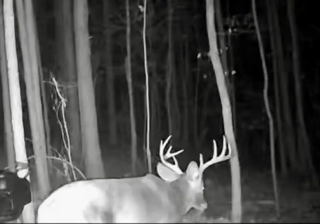 Picture 6