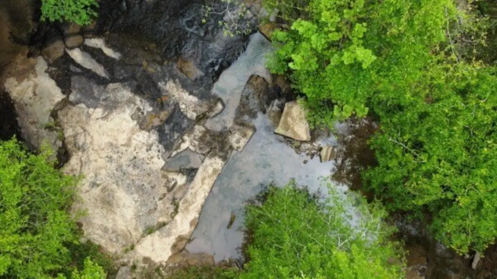 Picture 7
