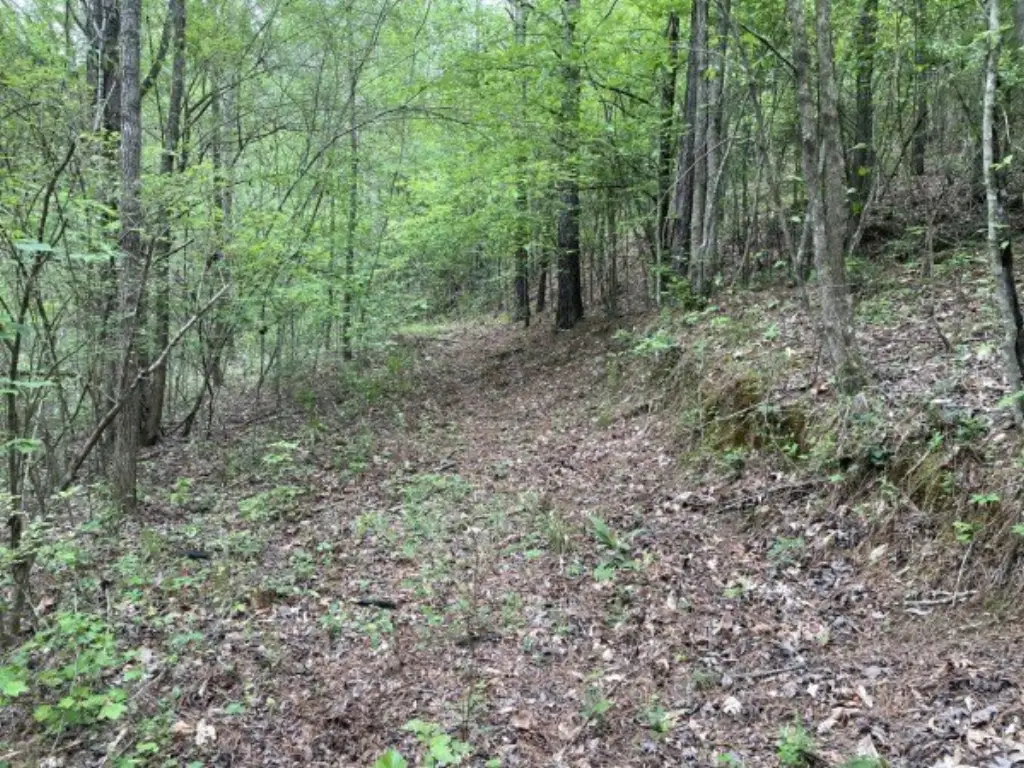 Picture 13
