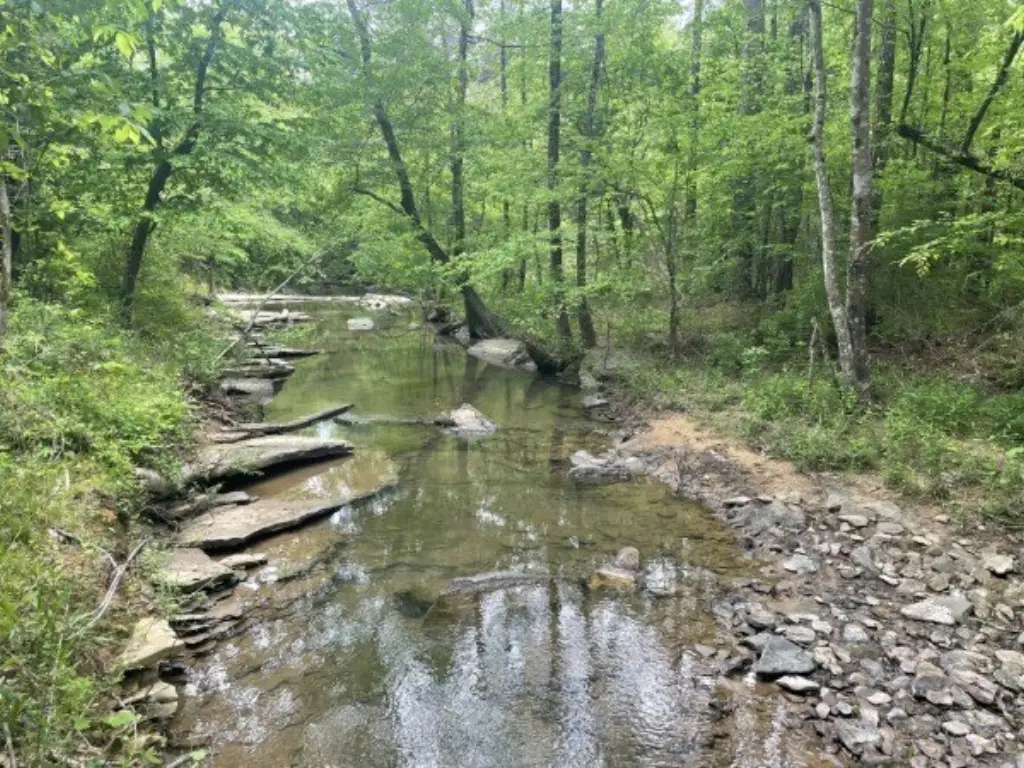 Picture 19