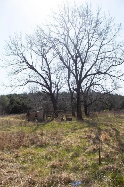 Picture 42