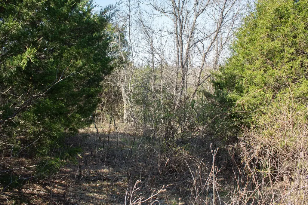 Picture 19