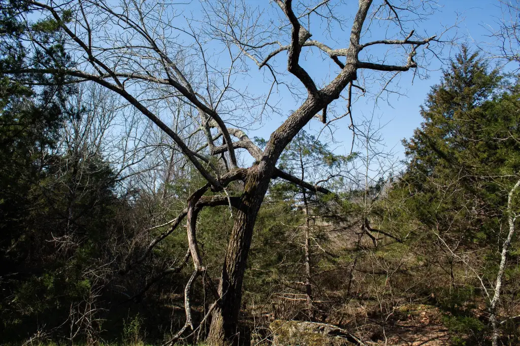 Picture 36