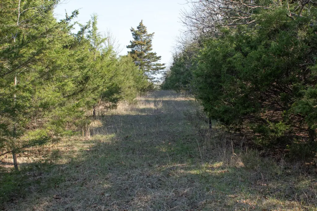 Picture 11
