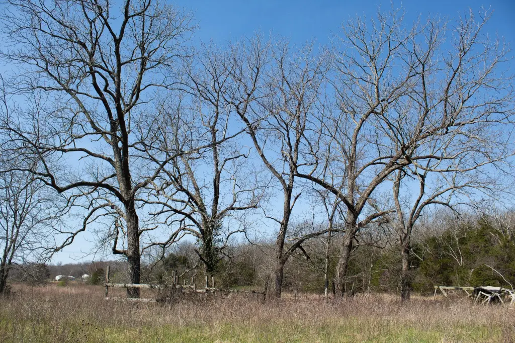 Picture 41