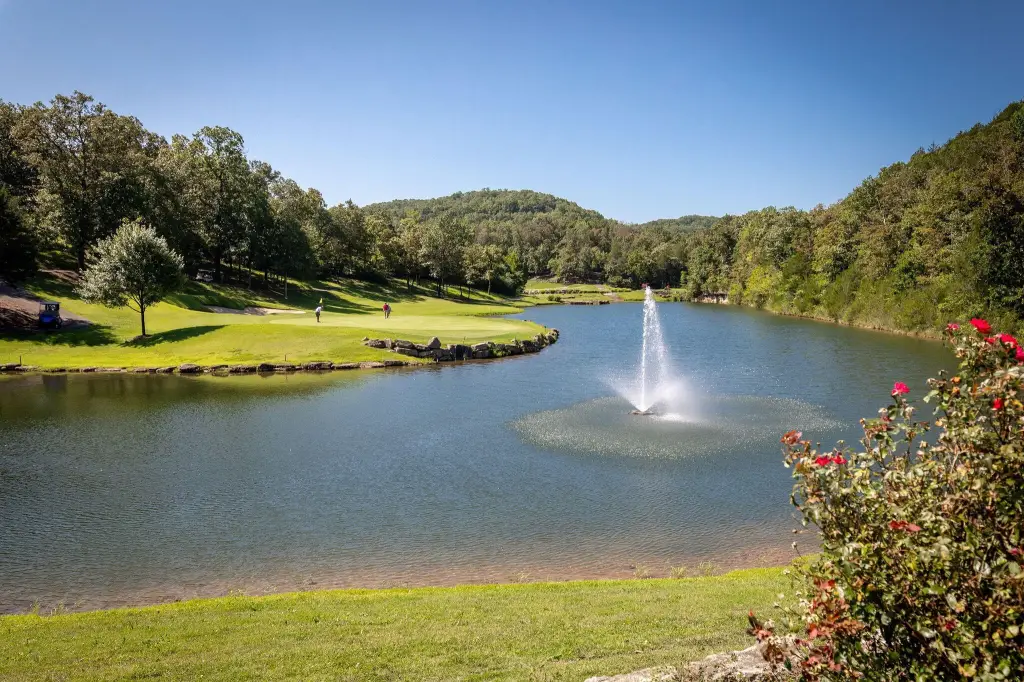 Picture 24