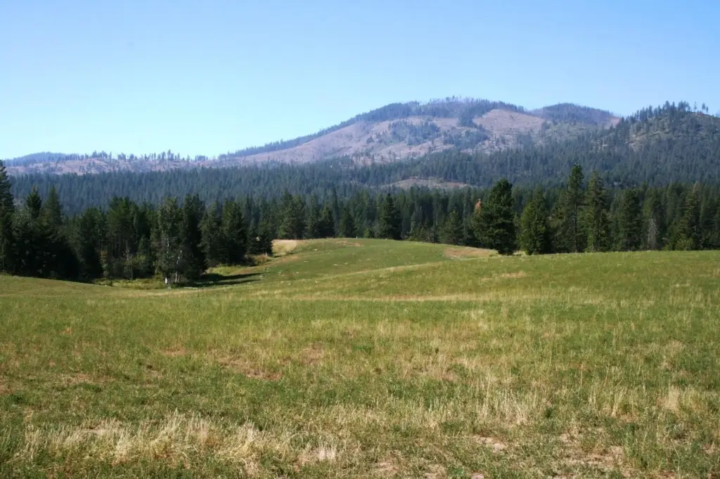Picture 9