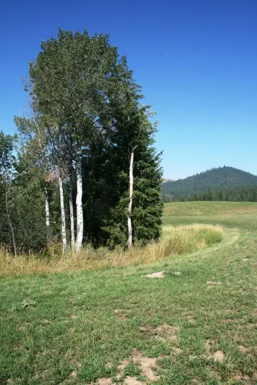 Picture 24