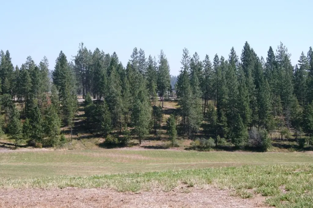 Picture 19