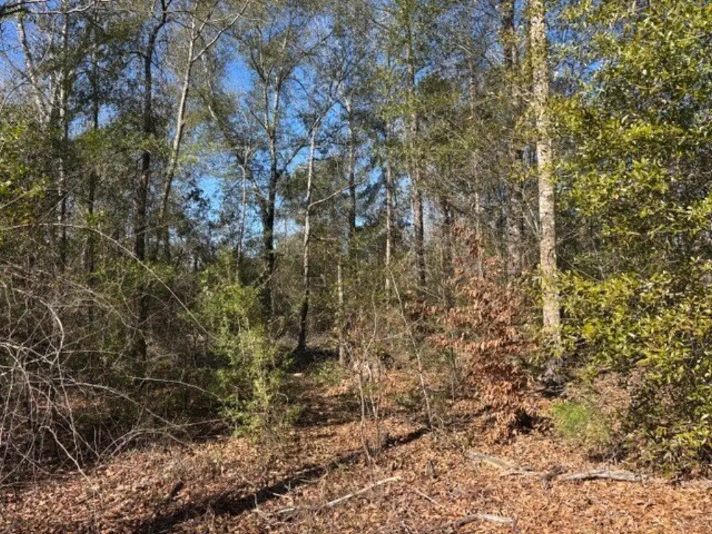 Picture 6